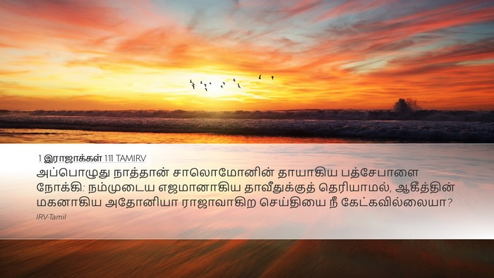 1 இராஜாக்கள் 1:11 TAMIRV Bible Verse Image