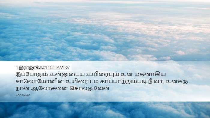 1 இராஜாக்கள் 1:12 TAMIRV Desktop Wallpaper - இப்போதும் - Desktop Bible Verse Wallpaper