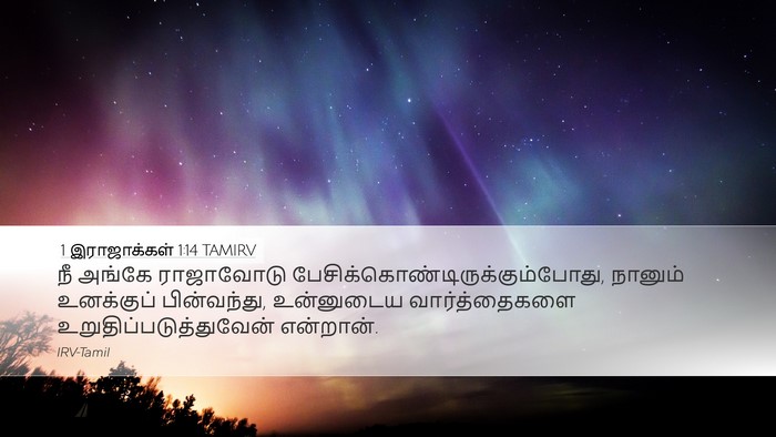 1 இராஜாக்கள் 1:14 TAMIRV Desktop Wallpaper - நீ அங்கே ராஜாவோடு - Desktop Bible Verse Wallpaper