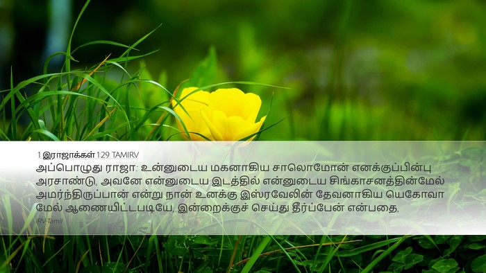 1 இராஜாக்கள் 1:29 TAMIRV Bible Verse Image
