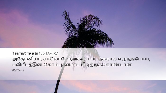 1 இராஜாக்கள் 1:50 TAMIRV Bible Verse Image