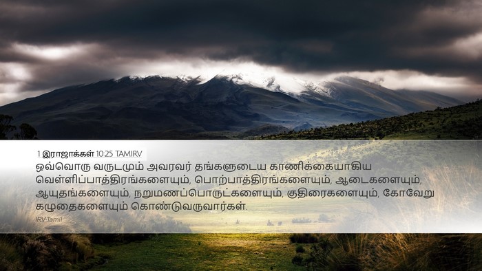 1 இராஜாக்கள் 10:25 TAMIRV Bible Verse Image