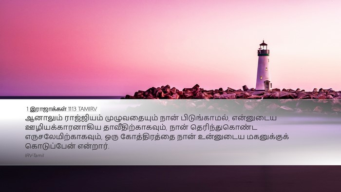 1 இராஜாக்கள் 11:13 TAMIRV Bible Verse Image