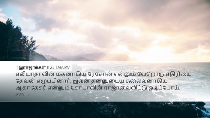 1 இராஜாக்கள் 11:23 TAMIRV Bible Verse Image