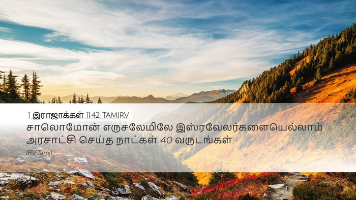 1 இராஜாக்கள் 11:42 TAMIRV Bible Verse Image