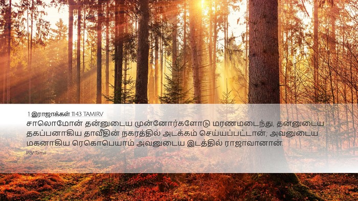 1 இராஜாக்கள் 11:43 TAMIRV Bible Verse Image