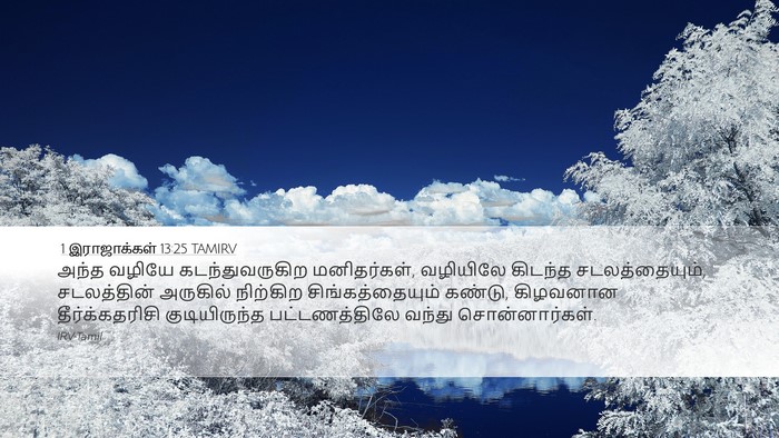 1 இராஜாக்கள் 13:25 TAMIRV Bible Verse Image