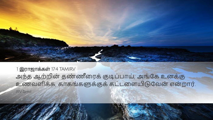 1 இராஜாக்கள் 17:4 TAMIRV Bible Verse Image