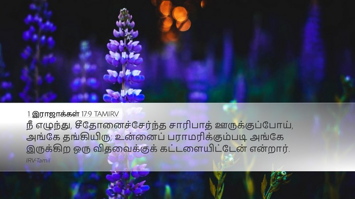 1 இராஜாக்கள் 17:9 TAMIRV Bible Verse Image