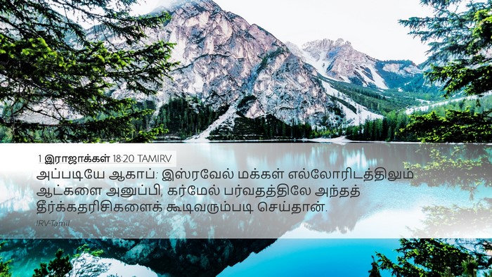 1 இராஜாக்கள் 18:20 TAMIRV Desktop Wallpaper - அப்படியே ஆகாப்: - Desktop Bible Verse Wallpaper