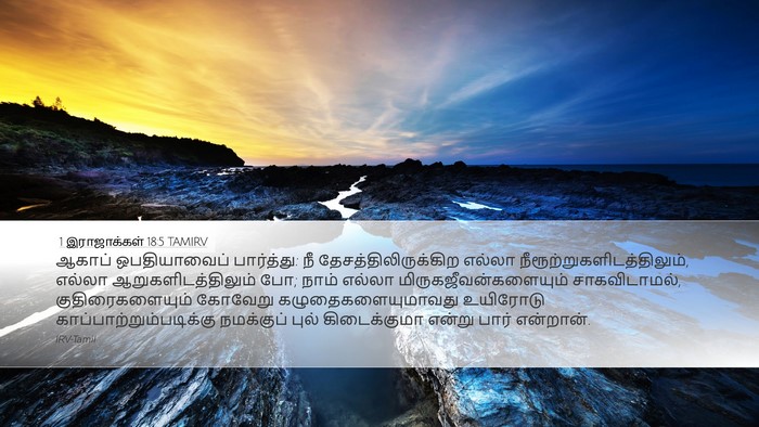 1 இராஜாக்கள் 18:5 TAMIRV Bible Verse Image