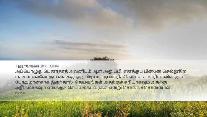 1 இராஜாக்கள் 20:10 TAMIRV Bible Verse Image