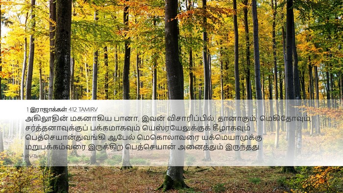 1 இராஜாக்கள் 4:12 TAMIRV Bible Verse Image