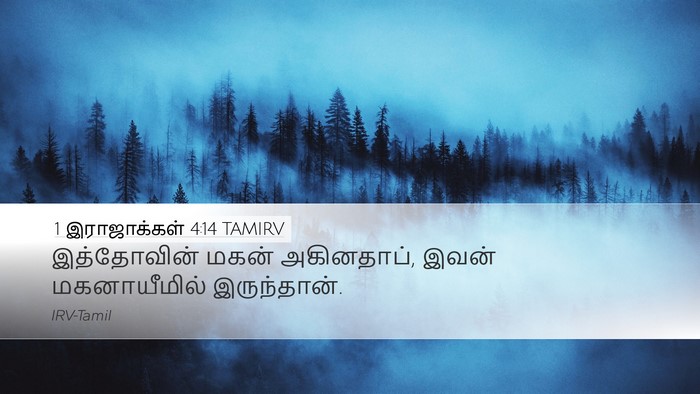 1 இராஜாக்கள் 4:14 TAMIRV Desktop Wallpaper - இத்தோவின் மகன் - Desktop Bible Verse Wallpaper