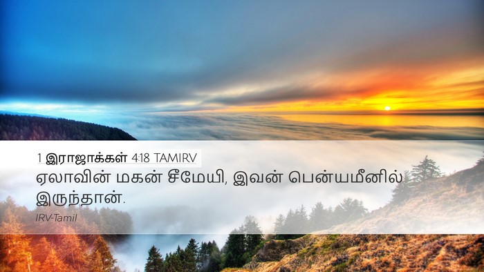 1 இராஜாக்கள் 4:18 TAMIRV Desktop Wallpaper - ஏலாவின் மகன் - Desktop Bible Verse Wallpaper
