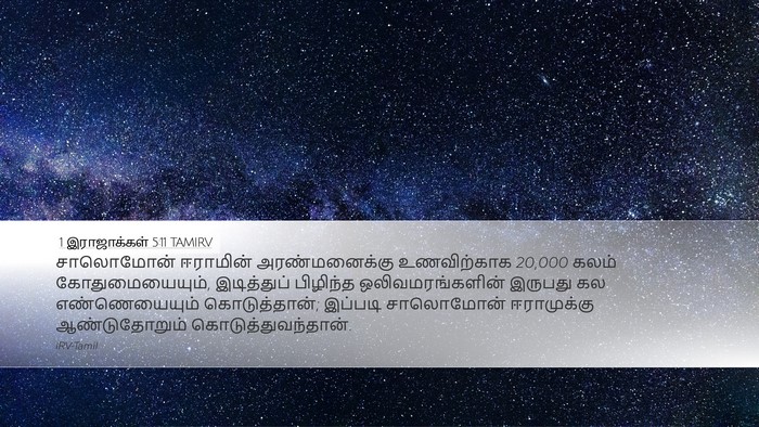 1 இராஜாக்கள் 5:11 TAMIRV Bible Verse Image