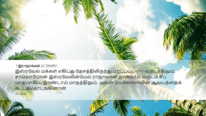1 இராஜாக்கள் 6:1 TAMIRV Bible Verse Image
