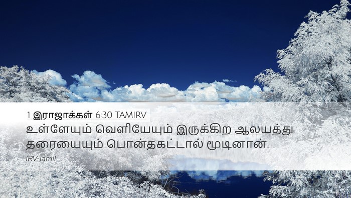 1 இராஜாக்கள் 6:30 TAMIRV Desktop Wallpaper - உள்ளேயும் - Desktop Bible Verse Wallpaper