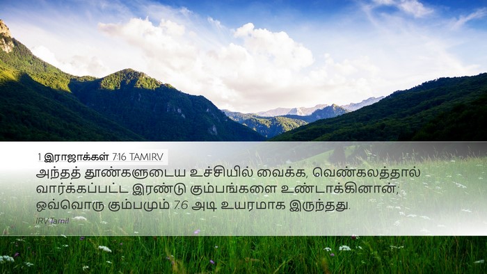 1 இராஜாக்கள் 7:16 TAMIRV Desktop Wallpaper - அந்தத் தூண்களுடைய - Desktop Bible Verse Wallpaper