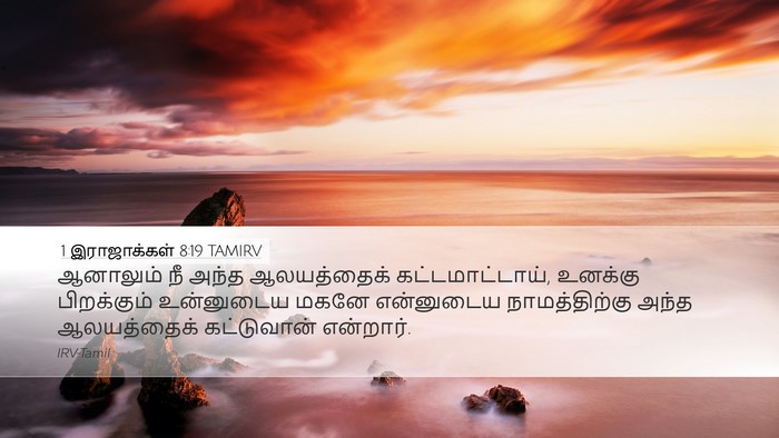 1 இராஜாக்கள் 8:19 TAMIRV Bible Verse Image