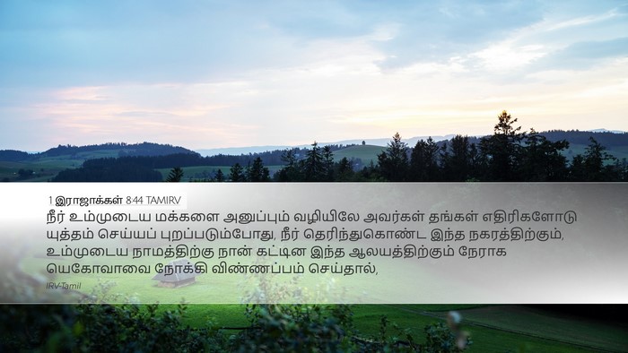 1 இராஜாக்கள் 8:44 TAMIRV Bible Verse Image