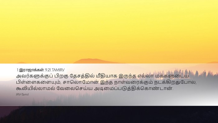 1 இராஜாக்கள் 9:21 TAMIRV Bible Verse Image