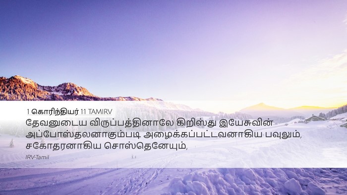 1 கொரிந்தியர் 1:1 TAMIRV Bible Verse Image