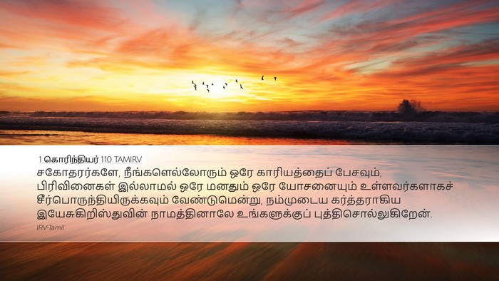 1 கொரிந்தியர் 1:10 TAMIRV Bible Verse Image