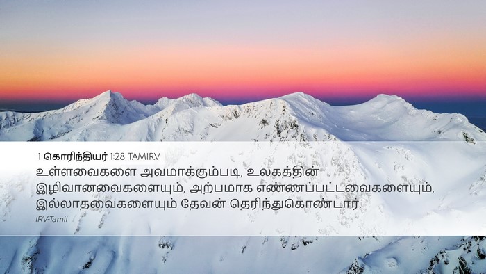 1 கொரிந்தியர் 1:28 TAMIRV Bible Verse Image