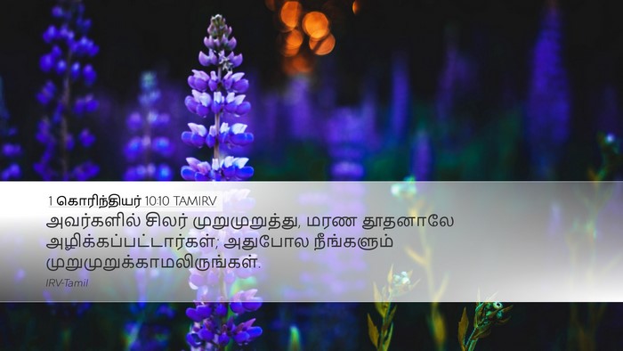 1 கொரிந்தியர் 10:10 TAMIRV Bible Verse Image