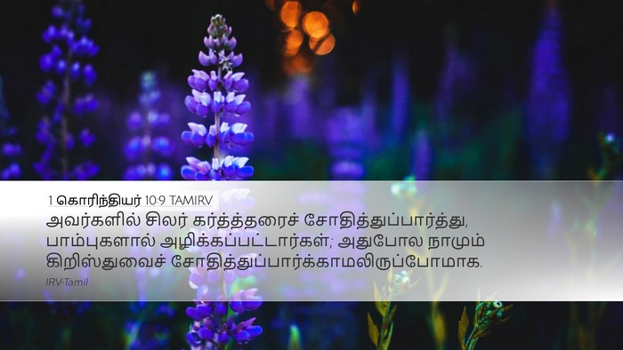 1 கொரிந்தியர் 10:9 TAMIRV Bible Verse Image