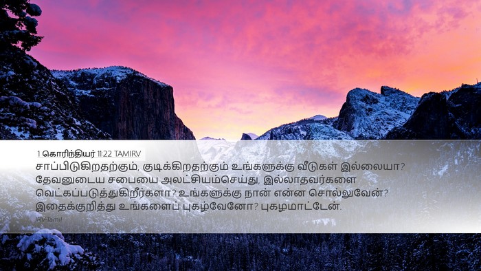 1 கொரிந்தியர் 11:22 TAMIRV Bible Verse Image