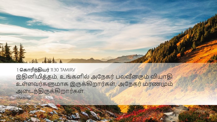 1 கொரிந்தியர் 11:30 TAMIRV Bible Verse Image