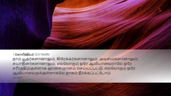 1 கொரிந்தியர் 12:13 TAMIRV Bible Verse Image