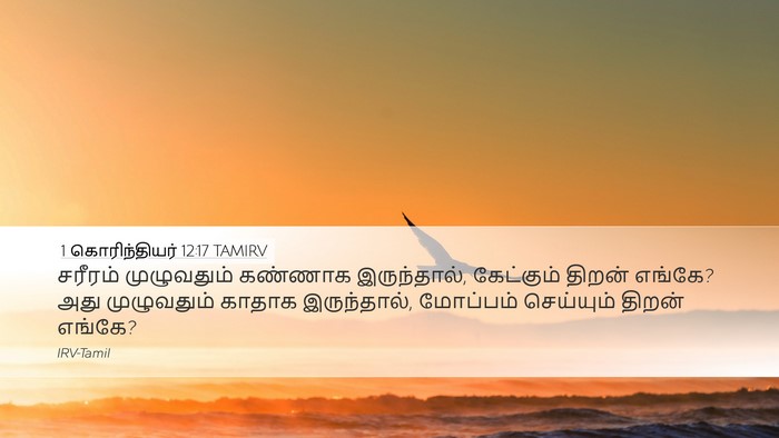 1 கொரிந்தியர் 12:17 TAMIRV Desktop Wallpaper - சரீரம் முழுவதும் - Desktop Bible Verse Wallpaper