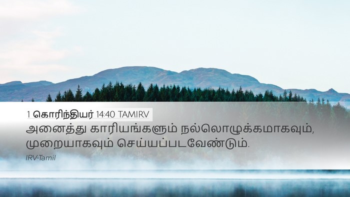 1 கொரிந்தியர் 14:40 TAMIRV Bible Verse Image