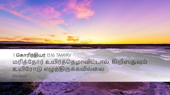 1 கொரிந்தியர் 15:16 TAMIRV Bible Verse Image
