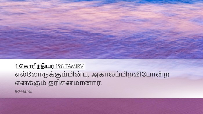 1 கொரிந்தியர் 15:8 TAMIRV Bible Verse Image