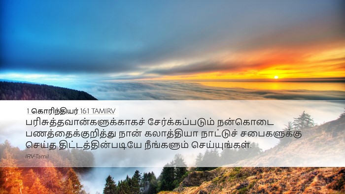 1 கொரிந்தியர் 16:1 TAMIRV Bible Verse Image