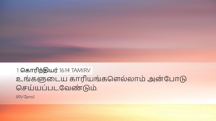 1 கொரிந்தியர் 16:14 TAMIRV Bible Verse Image