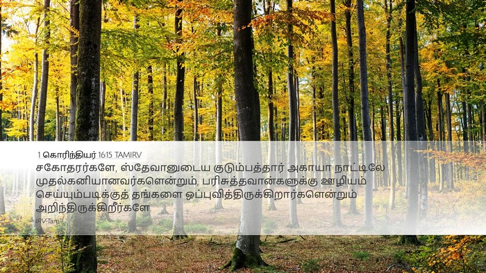 1 கொரிந்தியர் 16:15 TAMIRV Bible Verse Image