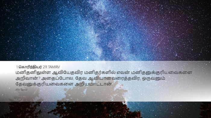 1 கொரிந்தியர் 2:11 TAMIRV Desktop Wallpaper - மனிதனிலுள்ள - Desktop Bible Verse Wallpaper