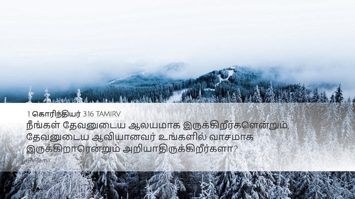 1 கொரிந்தியர் 3:16 TAMIRV Bible Verse Image