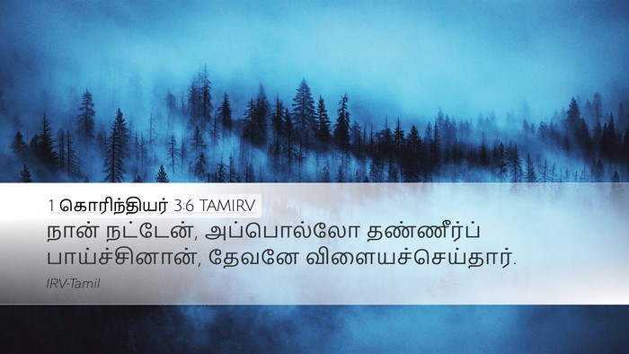 1 கொரிந்தியர் 3:6 TAMIRV Bible Verse Image