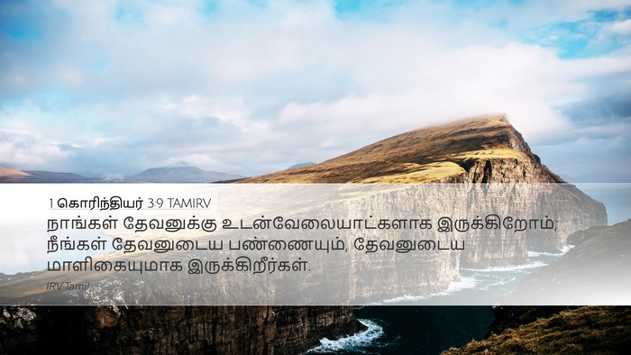 1 கொரிந்தியர் 3:9 TAMIRV Bible Verse Image