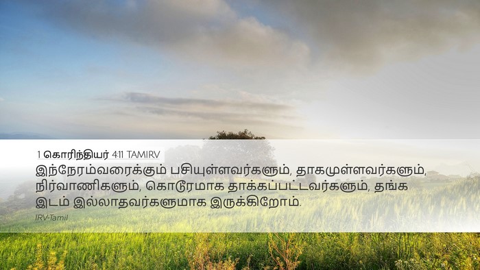 1 கொரிந்தியர் 4:11 TAMIRV Bible Verse Image