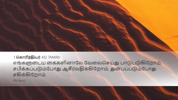 1 கொரிந்தியர் 4:12 TAMIRV Bible Verse Image