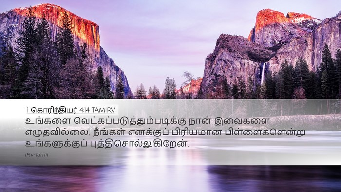 1 கொரிந்தியர் 4:14 TAMIRV Bible Verse Image