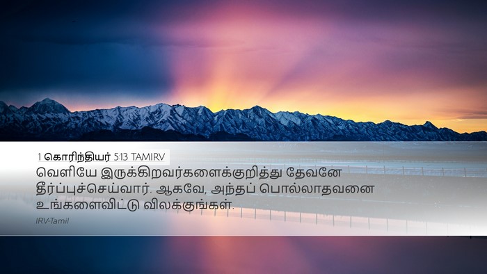 1 கொரிந்தியர் 5:13 TAMIRV Bible Verse Image