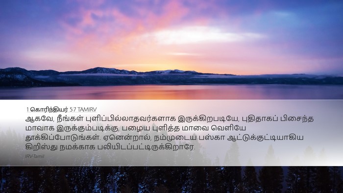 1 கொரிந்தியர் 5:7 TAMIRV Bible Verse Image